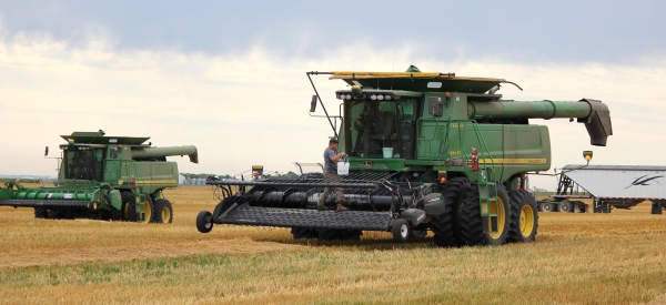 Dennis Dueck does a last minute check on his combine before he and his brother-in-law Tom Plett and father Henry Dueck start harvesting oats on Wednesday, September 4, northeast of Boissevain. The cold and wet conditions persisted most of the week and very little harvest activity has occurred in the region. Overall, harvest is less than 20% complete in the area. Environment Canada is forecasting more showers for next week.