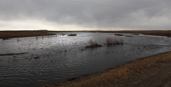 A swollen Elgin Creek, two miles north of Croll Road, south of Carl Robertson’s farm.