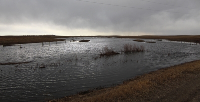 A swollen Elgin Creek, two miles north of Croll Road, south of Carl Robertson’s farm.