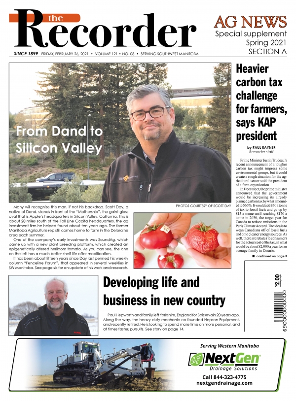 Many will recognize this man, if not his backdrop. Scott Day, a native of Dand, stands in front of the “Mothership”, the gaint glass oval that is Apple’s headquarters in Silicon Valley, California. This is about 20 miles south of the Fall Line Capita headquarters, the ag investment firm he helped found about ten years ago. The former Manitoba Agriculture rep still comes home to farm in the Deloraine area each summer. One of the company’s early investments was SoundAg, which came up with a new plant breeding platform, which created an epigenetically altered heriloom tomato. As you can see, the one on the left has a much better shelf life after modification. It has been about fifteen years since Day last penned his weekly column “Fenceline Forum”, that appeared in several weeklies in SW Manitoba. See page six for an update of his work and research.