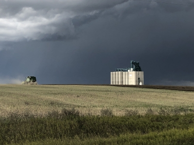 Rains continue to plague harvest