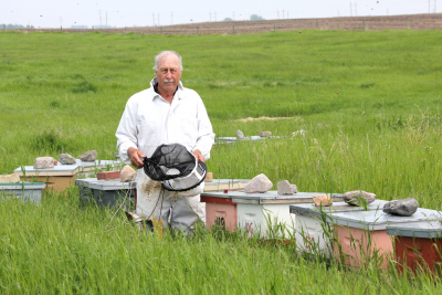 Harsh winter, late spring: beekeepers face severe losses, and little bee stock available to replenish hives