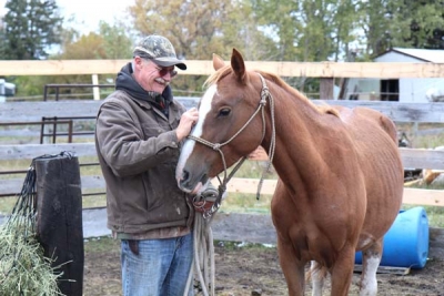 Whisper, a horse challenge