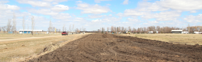 Anderson Drive work continues, trees to be replaced