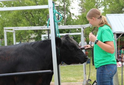 89th Annual 4-H Rally