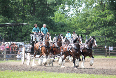 Successful return for Boissevain Fair
