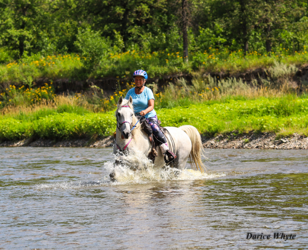 Endurance rider, Myna Margetts, honoured for lifetime work