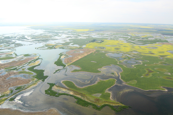 Flooding at Whitewater Lake, Manitoba in 2014
