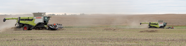 Neufeld Farms harvest canola in the Margaret area on Tuesday, September 22, to try to get some crop off before the coming rain, indicated by the clouds. By late afternoon Wednesday the area received another shower, with more in the forecast for the weekend. The wet conditions are causing crop loss and delays in harvest.